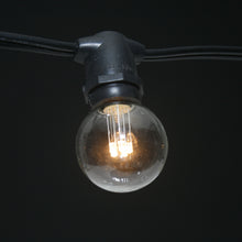 Load image into Gallery viewer, Led G40 Glass Warm White 5 Leds E17 130V Nickel Base 06W