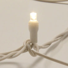 Load image into Gallery viewer, LED Net Lights (Polka-Dot Style) - White Wire - Pack of 1 or 12 String