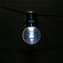 Load image into Gallery viewer, Led Glass Premium Bulbs 08W Medium Base (E27) 5 Smd Leds Dimmable