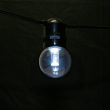 Load image into Gallery viewer, Led Glass Premium Bulbs 08W Medium Base (E27) 5 Smd Leds Dimmable